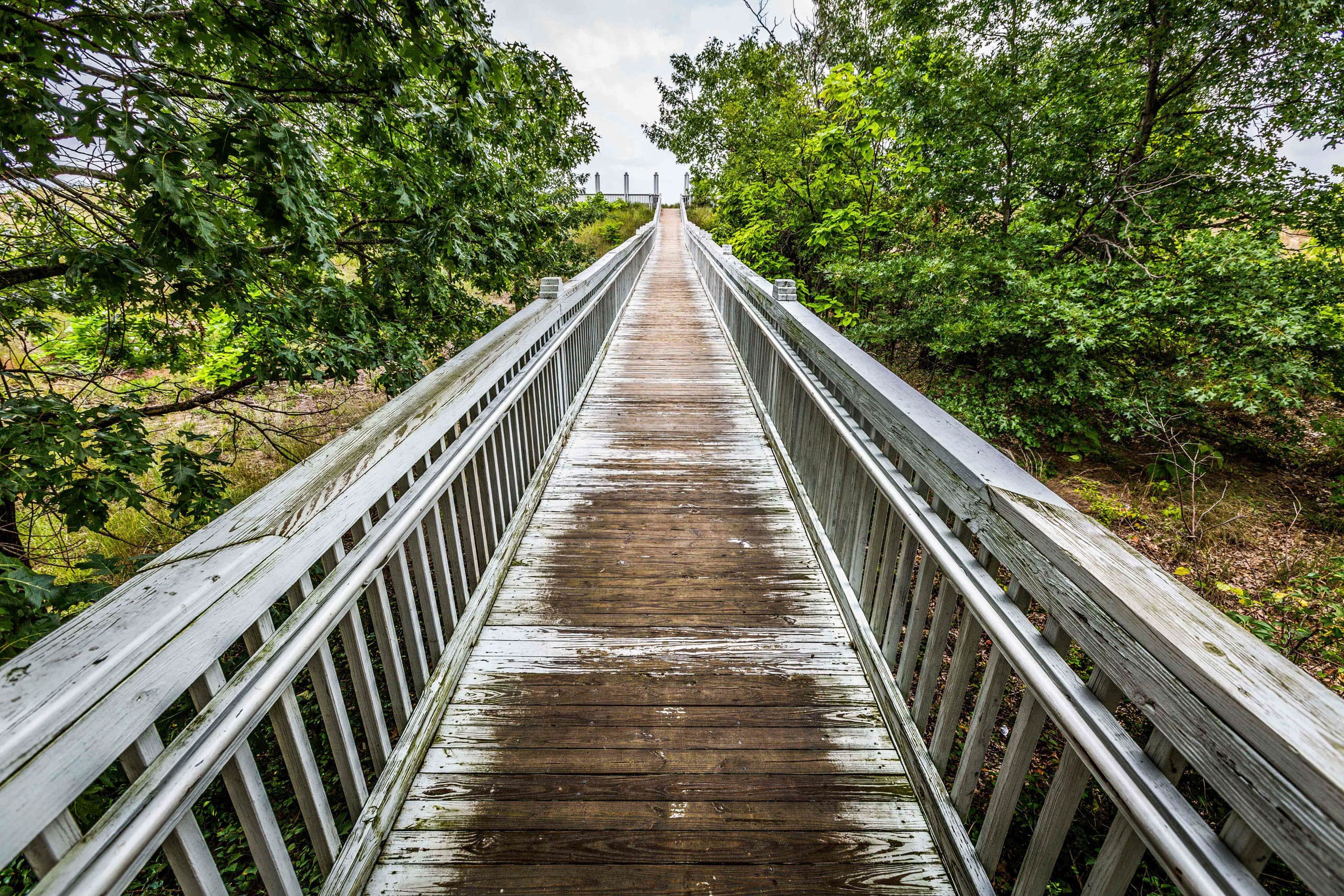Wooden boardwalk leading to lake